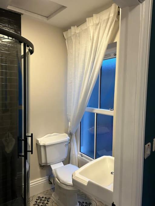 コークPatrick Street Townhouseアパートメント エクステリア 写真