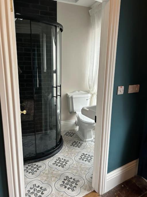 コークPatrick Street Townhouseアパートメント エクステリア 写真